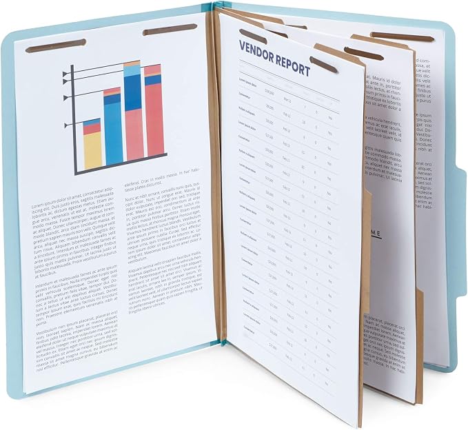 10 Blue Legal Size Classification Folders - Image 4