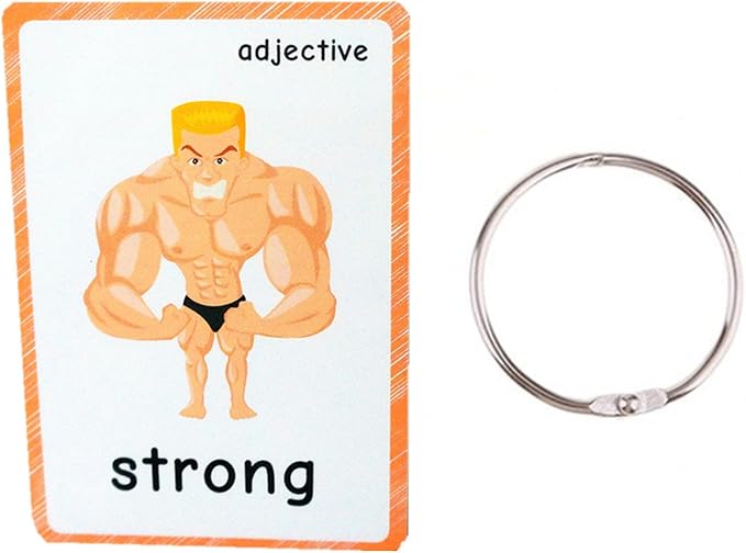 Set of Adjective&Antonym and Insect Flash Cards - Image 2