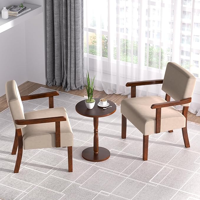Accent Chair, Cat-Scratch Velvet Living Room Chairs Oversize with Soft Seat and Armrests for Dinning Room Bedroom Reading Room Waiting Room-DeskLoop Office