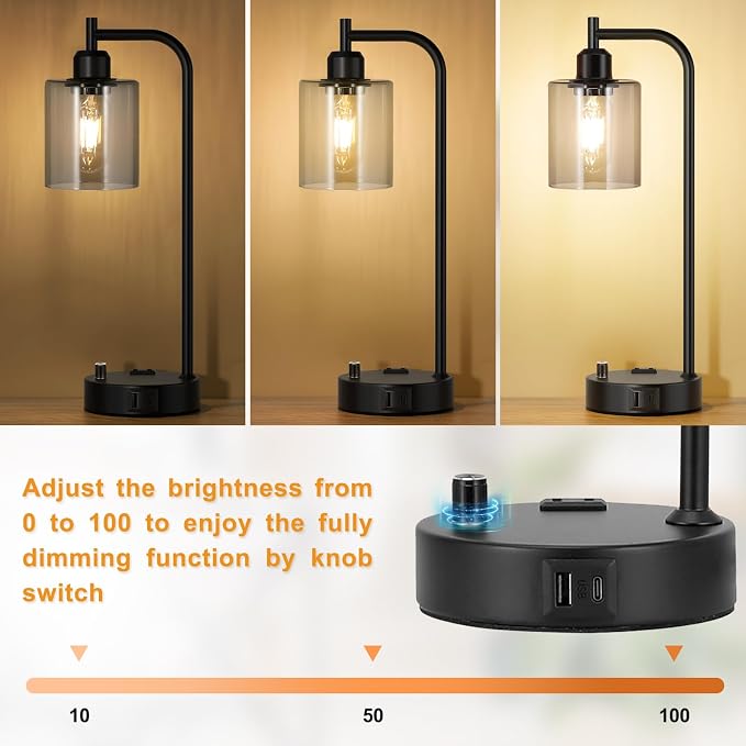 Industrial Desk Lamps for Office Set of 2 - Image 3