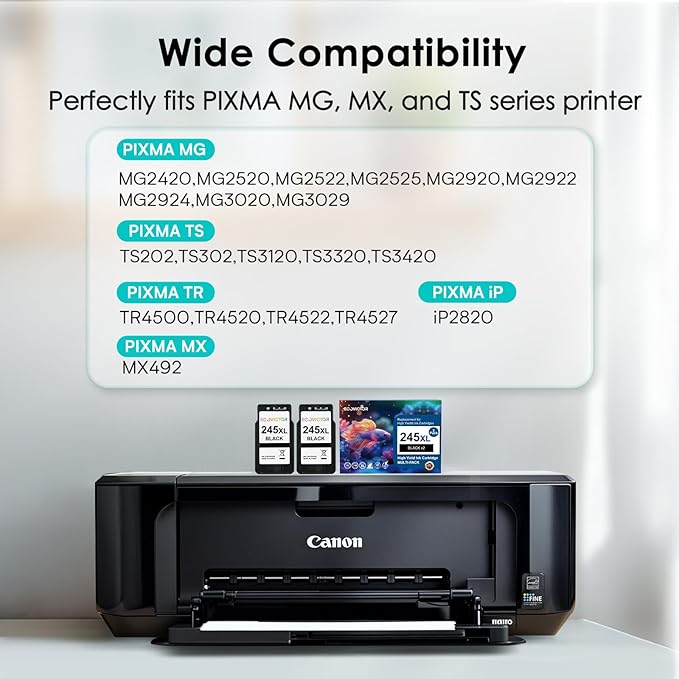 EcoVictor 245XL Black Ink Cartridge Replacement for Canon 245 XL PG-245 XL (Black 2 Pack) Compatible to Pixma MX490 MX492 MG2522 TR4520 TR4500 TS3122 TS3322 MG2520 MG2500 MG3022 TS3320 TR4522 Printer-DeskLoop Office