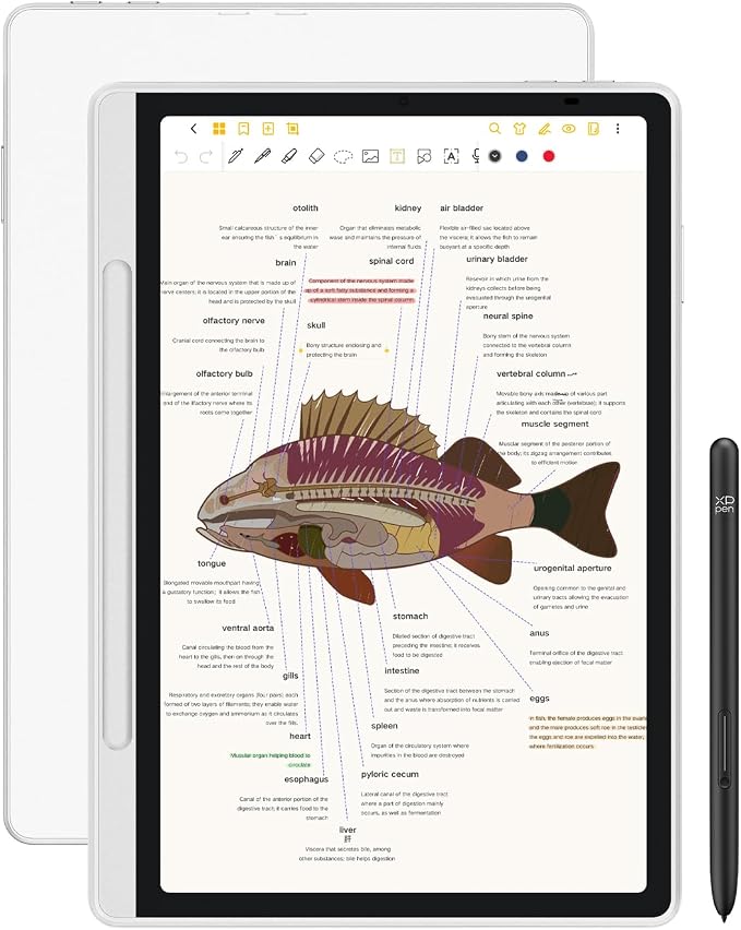 XPPen 3 in 1 Color Digital Notebook 10.95'' Paper Note Taking Tablet by XPPen