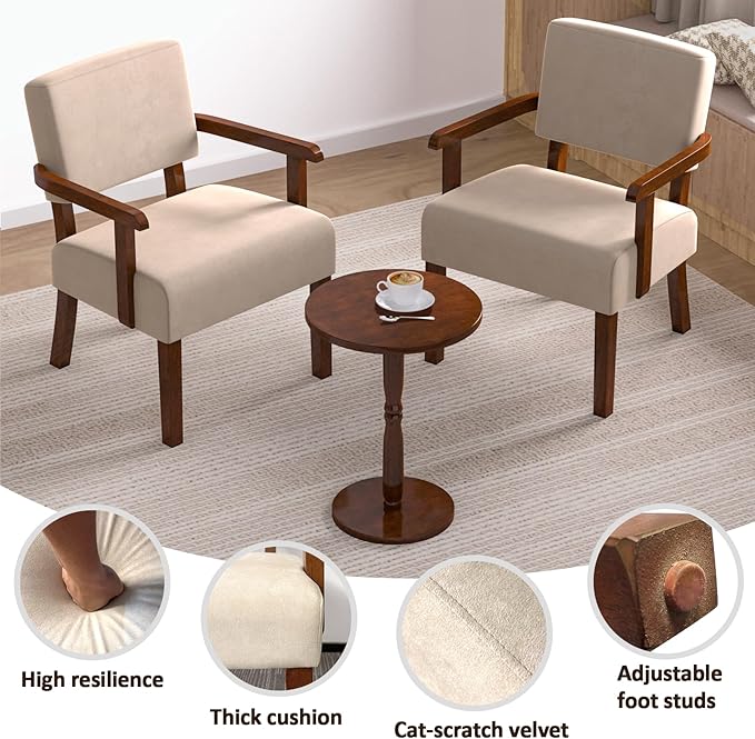Accent Chair, Cat-Scratch Velvet Living Room Chairs Oversize with Soft Seat and Armrests for Dinning Room Bedroom Reading Room Waiting Room-DeskLoop Office