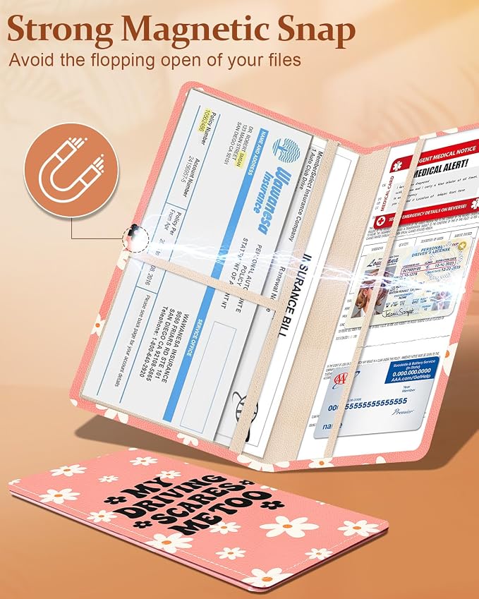 Slohif Car Registration and Insurance Holder - Image 4