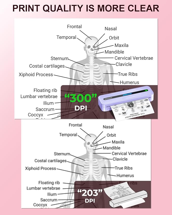 COLORWING Portable Printers Wireless for Travel, 300DPI Mini Compact Inkless Printer, Thermal Bluetooth Printer Compatible with Android and iOS Smartphone & Tablet & Laptop - Purple-DeskLoop Office