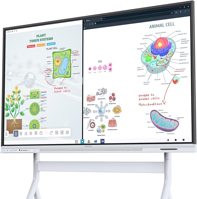 Smart Board, Built-in Digital Whiteboard, Wireless Casting, Split-Screen & by NEWORK
