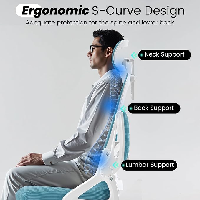 Fizzin Ergonomic Office Chair, 400 LBS Computer Chairs - Image 9