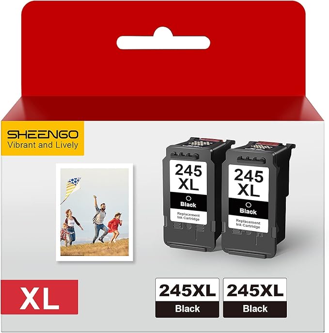 245XL Ink Cartridge Replacement for Canon 245XL Black Ink PG-245XL 245 XL PG-243 243XL for Pixma TR4520 TR4527 MX492 MX490 MG2522 MG2525 MG2920 TS202 TS302 TS3320 TS3322 MG2420 IP2820 (2 Black)-DeskLoop Office