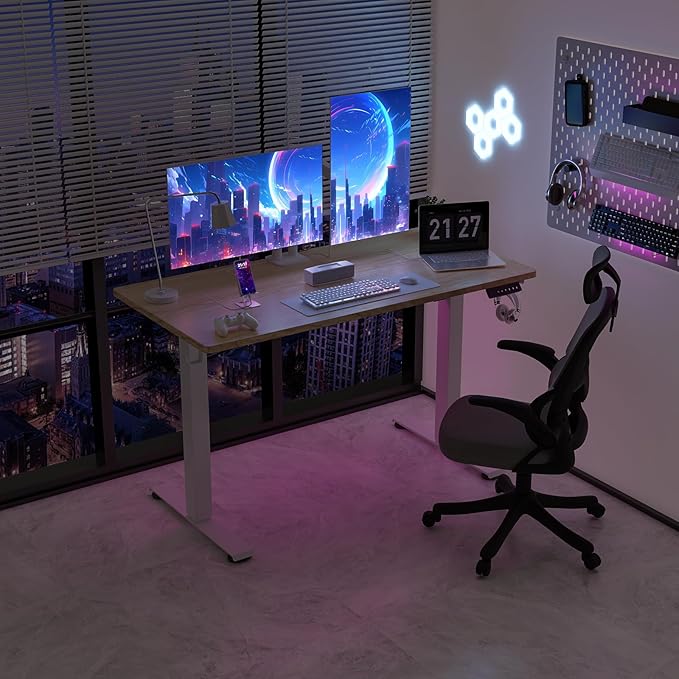 48 * 24 Electric Standing Desk, Adjustable Height Sit Stand Up Desk, Motorized Home Office Computer Gaming Workstation Desk-DeskLoop Office