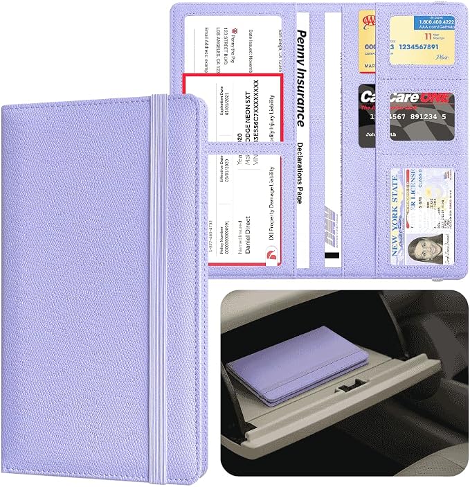 LINTRU 6-Pocket Car Registration & Insurance Card Holder by LINTRU
