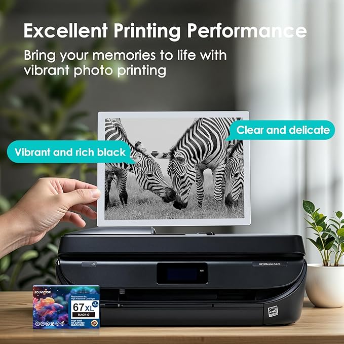 EcoVictor 67XL Black Ink Cartridge Replacement for HP 67 XL (2-Pack) Compatible to HP DeskJet 2755e 2700 2700e 4155e 2752 2755 4100 4100e 2320 Envy 6055e 6000 6000e 6455e 6400 6400e 6458 6052 Printer-DeskLoop Office