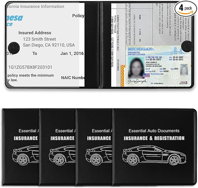 REGUICORP Registration and Holder, Auto Essential Holder, Interior Accessories by REGUICORP
