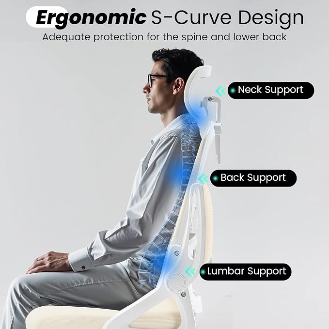 Fizzin Ergonomic Office Chair, 400 LBS Computer Chairs - Image 9