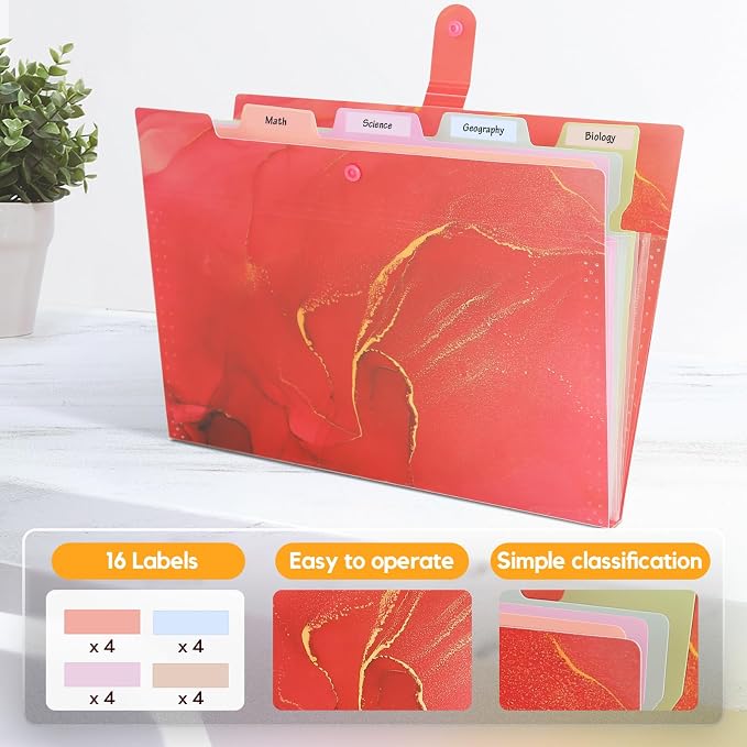 Expanding File Folder, Folders for Important Documents Organizer, Accordion - Image 4