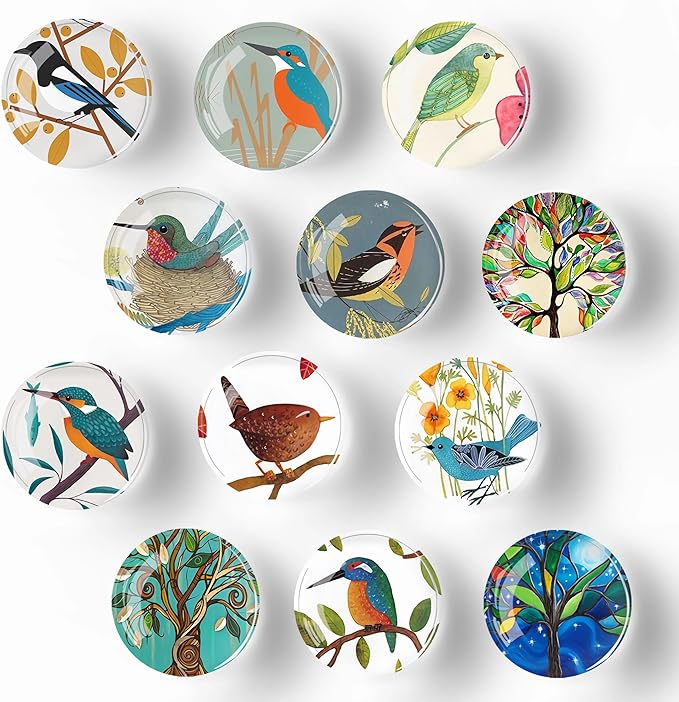 12Pcs Glass Refrigerator Magnet Fridge Sticker,Bird Fridge Magnets Decoration for Crafts,Strong Fridge Magnets for Kitchen, School,Office Whiteboard, Cabinet and Dishwasher-DeskLoop Office