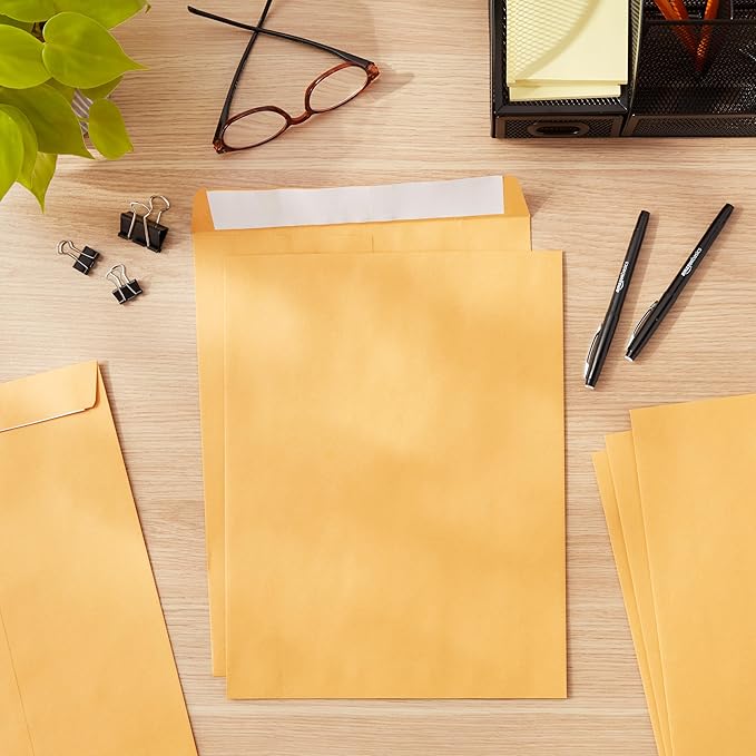 Amazon Basics Catalog Mailing Envelopes, Peel and Seal, 10x13 Inch - Image 9