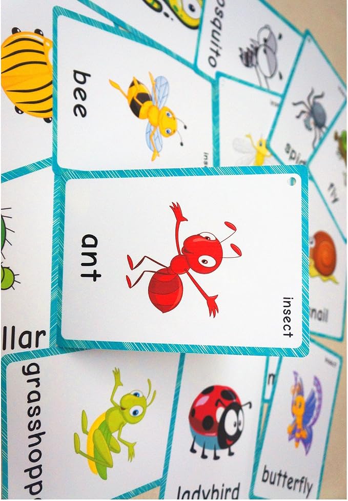 SANTSUN 14 Insects and Bugs Flashcards - Image 5