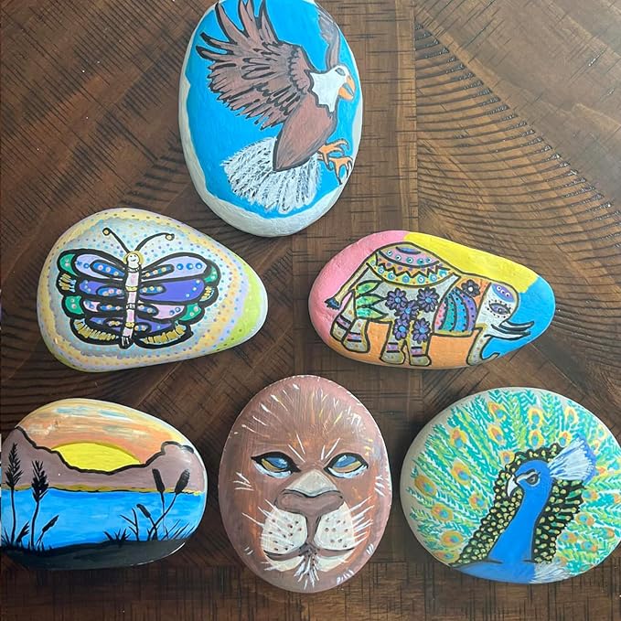 12 Colors Waterproof Dual Tip Acrylic Paint Pens, Dot & Fine Tip Premium Coloring Drawing Markers Set for Wood, Rock Painting, Canvas, Glass, Ceramic Surfaces and DIY Crafts Making Art Supplies-DeskLoop Office