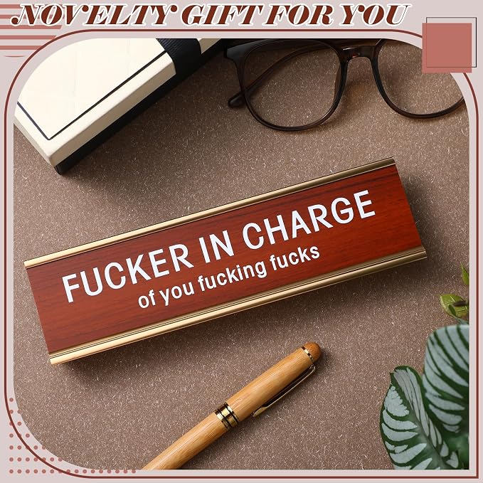 Weysat Funny Desk Signs for Office fun Office Accessories Novelty Nameplate - Image 4