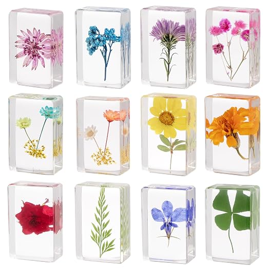 12 Pcs Real Pressed Flower Resin Paperweights by CuriositiesfromtheNaturalWorld