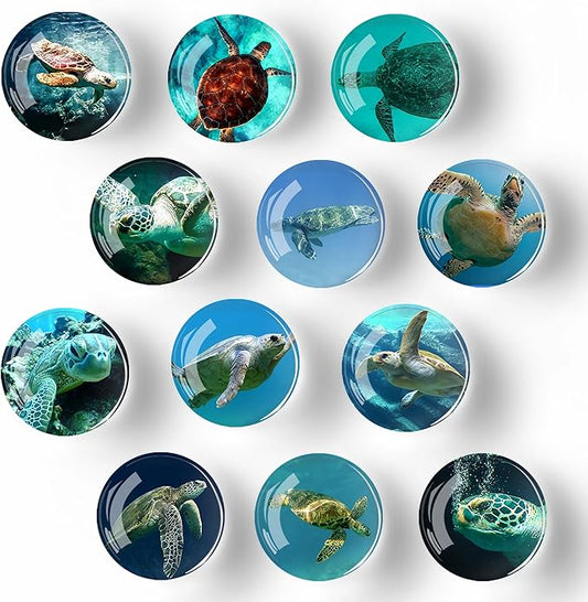 12Pcs Glass Refrigerator Magnet Fridge Sticker,Turtle Fridge Magnets Decoration for Crafts,Strong Fridge Magnets for Kitchen, School,Office Whiteboard, Cabinet and Dishwasher-DeskLoop Office