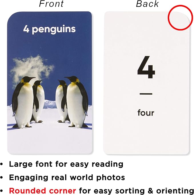 Award-Winning Numbers & Counting Flash Cards - Image 6