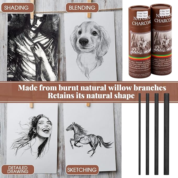 Gueevin 60 Pcs Willow Charcoal Sticks, Willow Charcoal, Artists, Beginners, Students, Perfect for Sketching, Drawing, Shading, and Fine Art (2-4mm，4-5mm，5-7mm，7-9mm)-DeskLoop Office