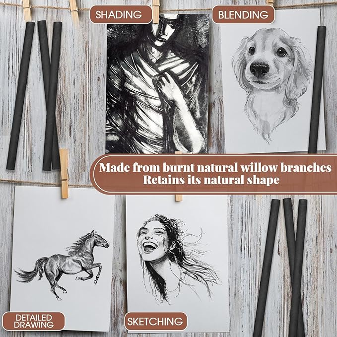 Gueevin 25 Pcs Willow Charcoal Sticks, Willow Charcoal, Artists, Beginners, Students, Perfect for Sketching, Drawing, Shading, and Fine Art (7-9mm)-DeskLoop Office