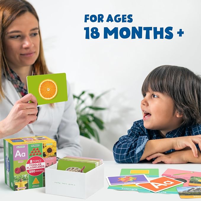 BenBen Flash Cards for Toddlers, Extra Thick, 250 Images, Double-Sided - Image 7