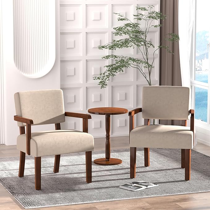 Accent Chair, Cat-Scratch Velvet Living Room Chairs Oversize with Soft Seat and Armrests for Dinning Room Bedroom Reading Room Waiting Room-DeskLoop Office