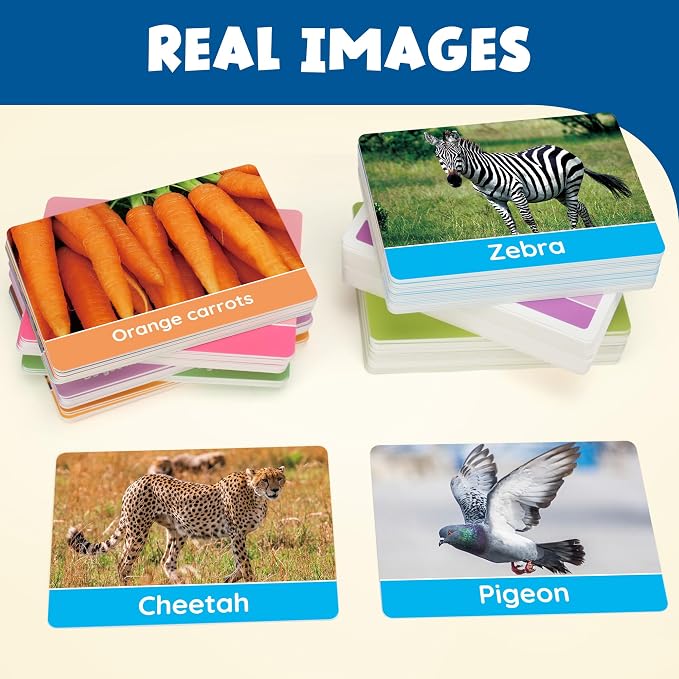 BenBen Flash Cards for Toddlers, Extra Thick, 250 Images, Double-Sided - Image 4