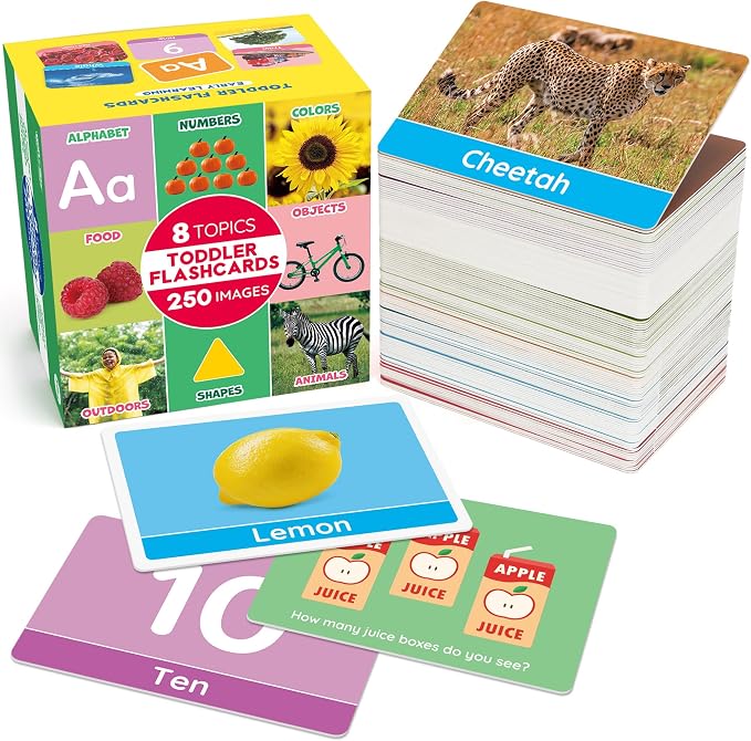 BenBen Flash Cards for Toddlers, Extra Thick, 250 Images, Double-Sided by WelcometoBenBen