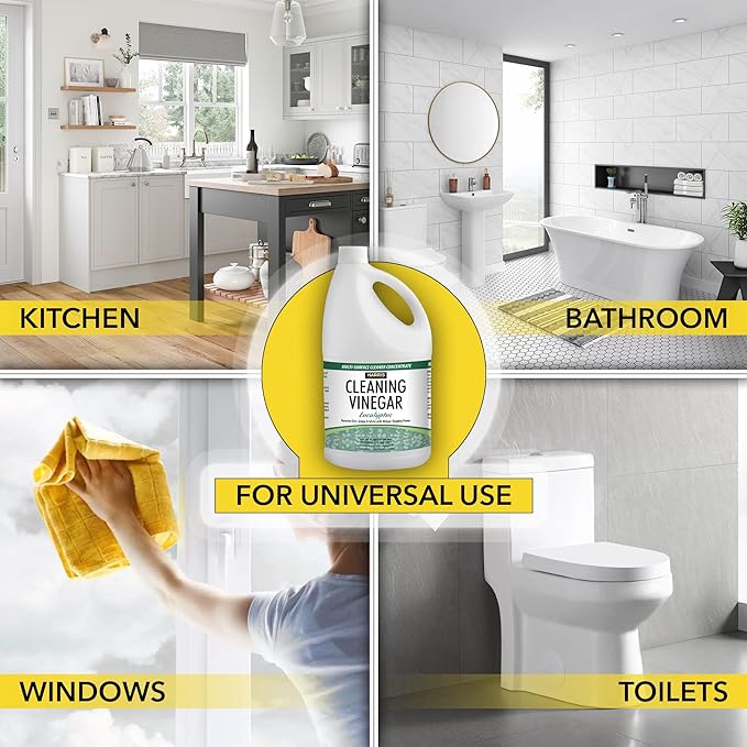 HARRIS Cleaning Vinegar All Purpose Household Surface Cleaner, 128oz (Eucalyptus) with Easy Pour Funnel Included-DeskLoop Office