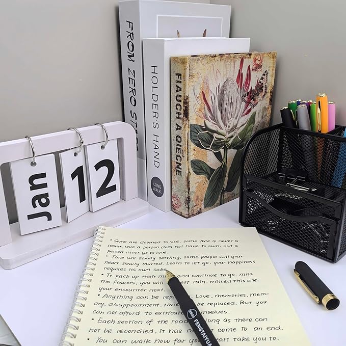 Fengtaiyuan P18Pro, Gel Ink Rollerball Pens, Black Ink, Extra FIne 0.5mm, Writting Pens, Smooth, 18 Pack (Black-0.5m)-DeskLoop Office