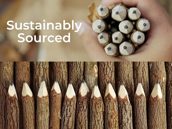 BSIRI Pencil Wood Favors of Graphite Wooden Tree Rustic Twig Pencils Birch of - Image 8