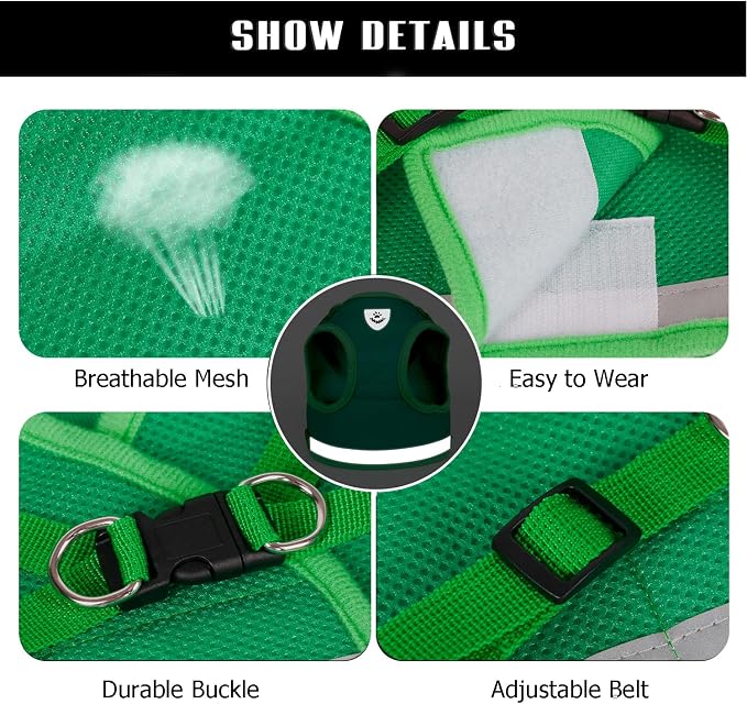 FEimaX Dog Harness and Leash Set - Image 4