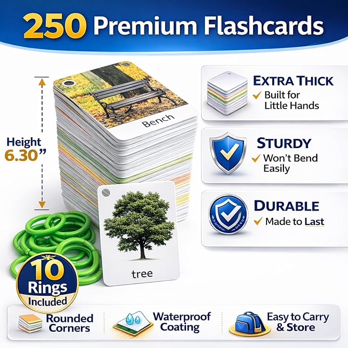 250 Thick & Sturdy Learning Flashcards - Image 2