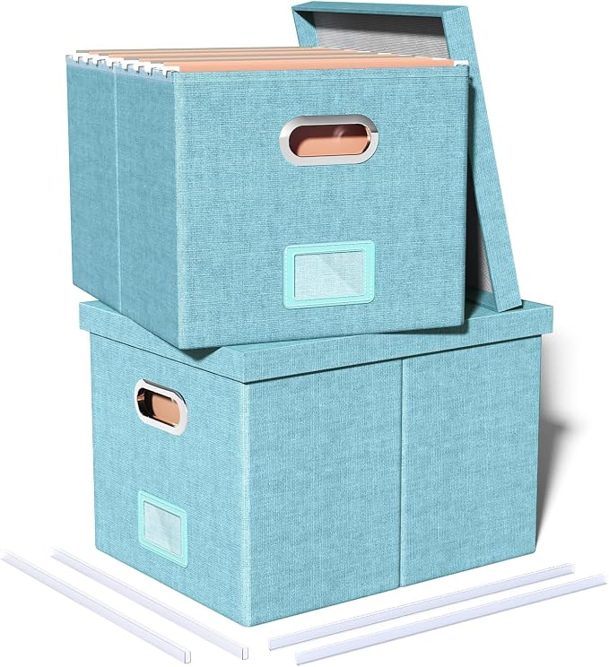 2 Pack File Storage Organizer by Oterri