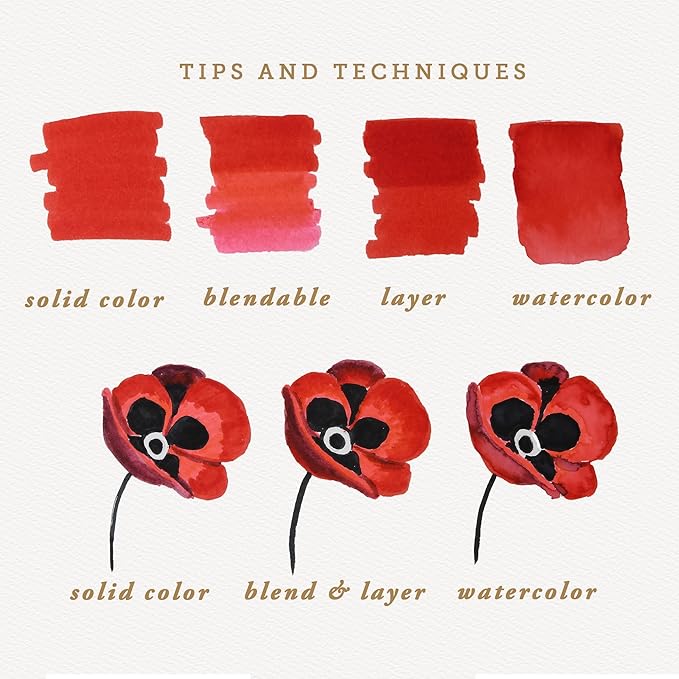 Primrosia 12 Dual Tip Watercolor Marker Pens - Fine Tip & Brush Tips, Professional Quality, 4 x Sticker Sheets, Blendable, Non-Toxic, Perfect for Calligraphy, Drawing & Coloring. (Woodlands)-DeskLoop Office