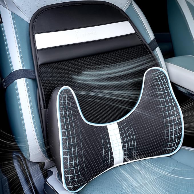FLORICH Double Layer Breathable Mesh Lumbar Support Ergonomic Leather Lumbar Support Pillow with 3D Mesh Back Support and Adjustable Strap for CarSeat & Office Chair-DeskLoop Office