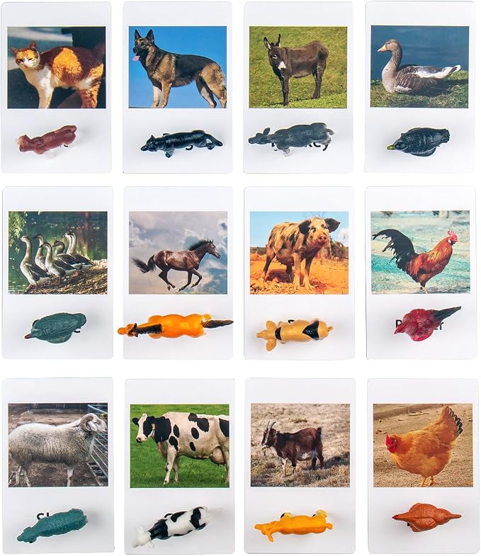 MEROCO Montessori Animal Match Cards Miniature Poultry Animals - Image 2