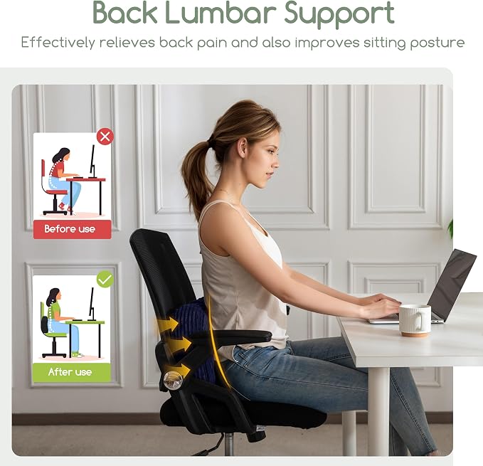 HIGOGOGO Lumbar Support Pillow for Recliner Chair/Accent Chair/Couch/Office - Image 4