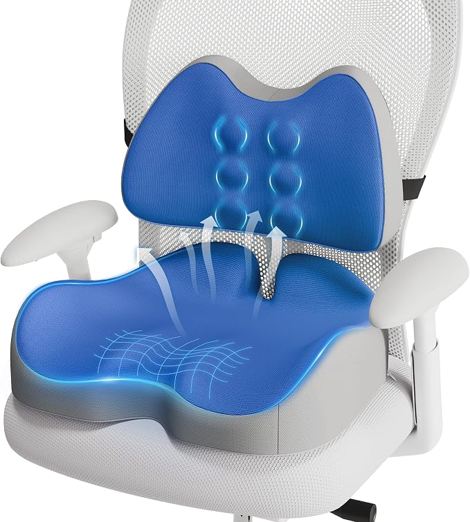 Benazcap Large Memory Foam Seat Cushion Lumbar Support Pillow by Benazcap