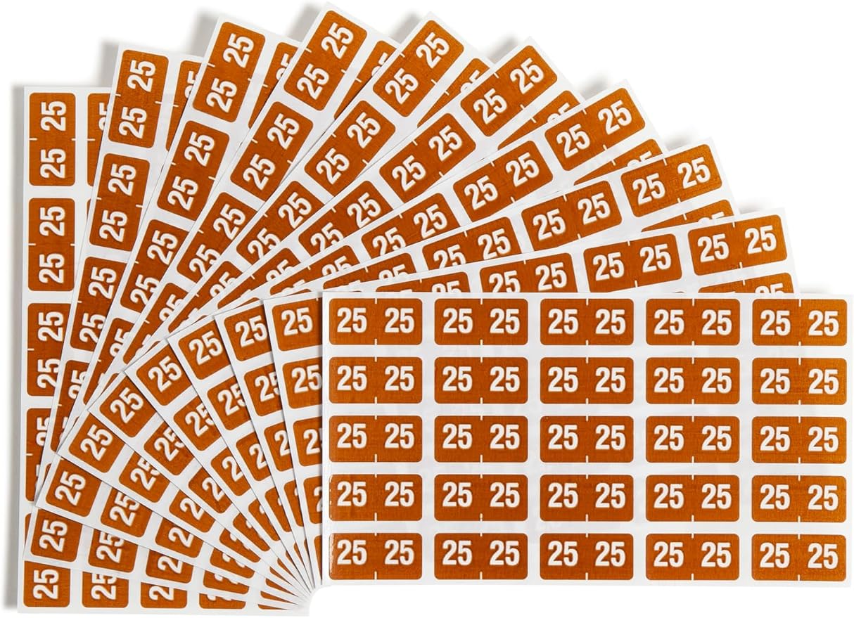 Smead ETS Color-Coded 2025 Year Labels by SMEAD