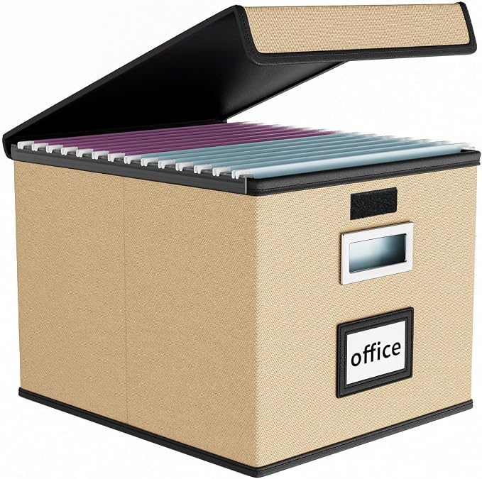 File Organizer Box with Lid, Collapsible File Folder Organizer by Huolewa