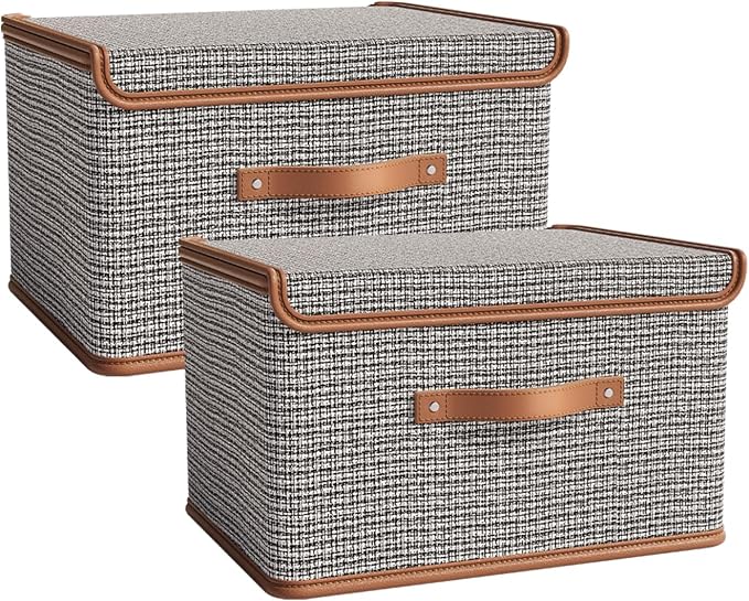 Tuza 2 Pack Storage Bins with Lids, Collapsible Closet Organizer Container by TidySpaceSoftlyStyled