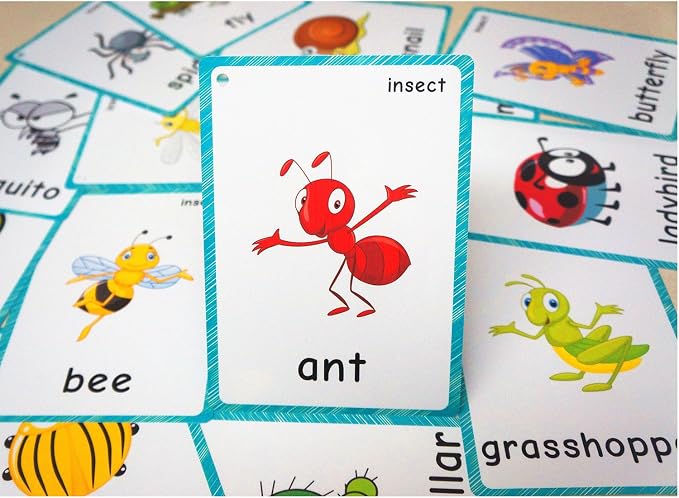 SANTSUN 14 Insects and Bugs Flashcards by SANTSUN