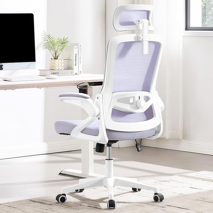 Fizzin Ergonomic Office Chair, 400 LBS Desk Chair by Unknown
