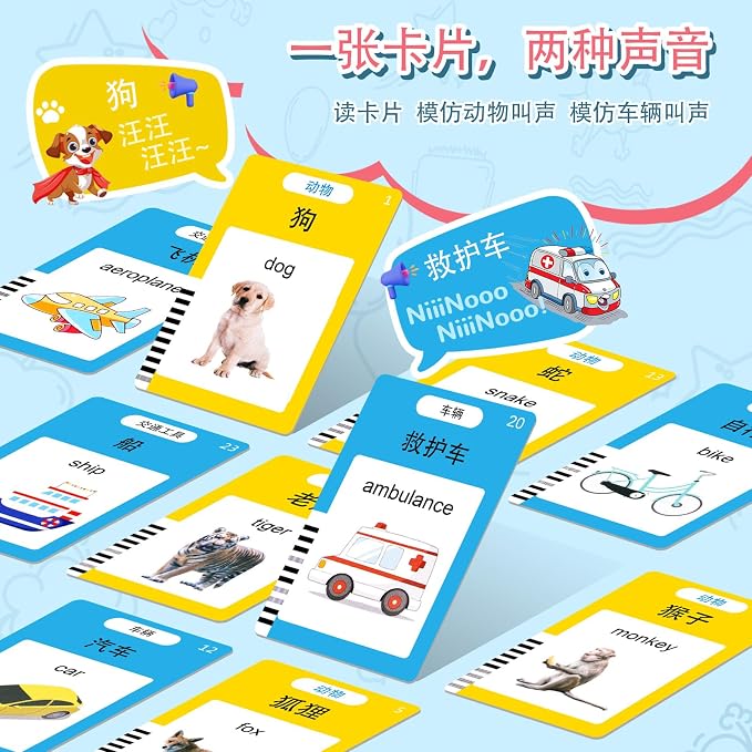 Chinese & English Talking Flash Cards - Image 5