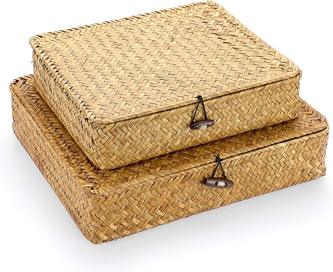Hipiwe Set of 2 Flat Woven Wicker Storage Bins by Hipiwe